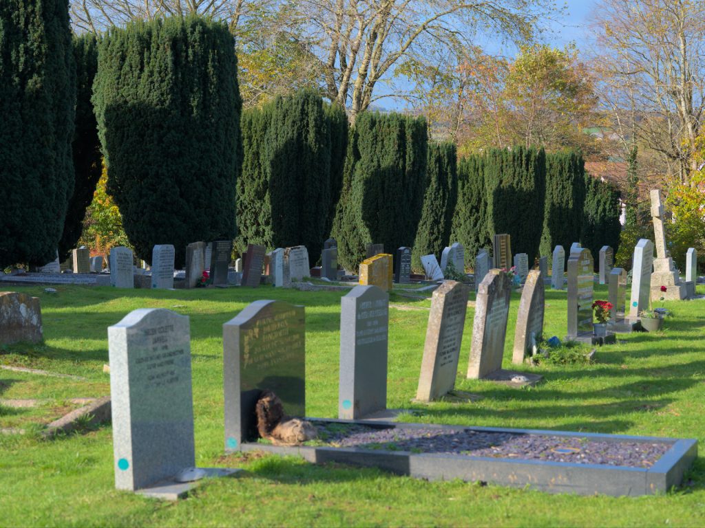 Cemetery showing graves and trees.